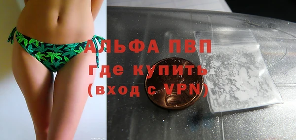 сатива Алексин