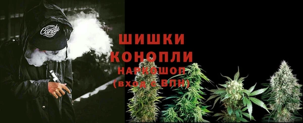 молекула духа Заволжье
