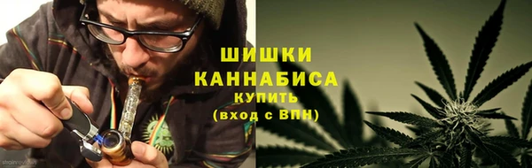 сатива Алексин