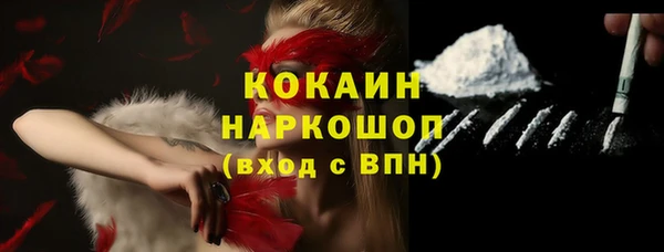 стаф Алзамай
