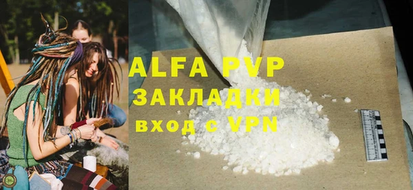 стаф Алзамай