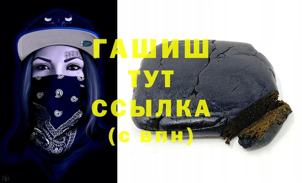 стаф Алзамай